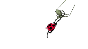 LOGO HORIZONTAL BLANC